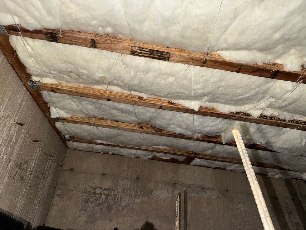 Crawlspace After