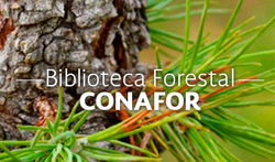Biblioteca forestal conafor