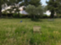 nettoyage square 18 juin - 33.jpeg