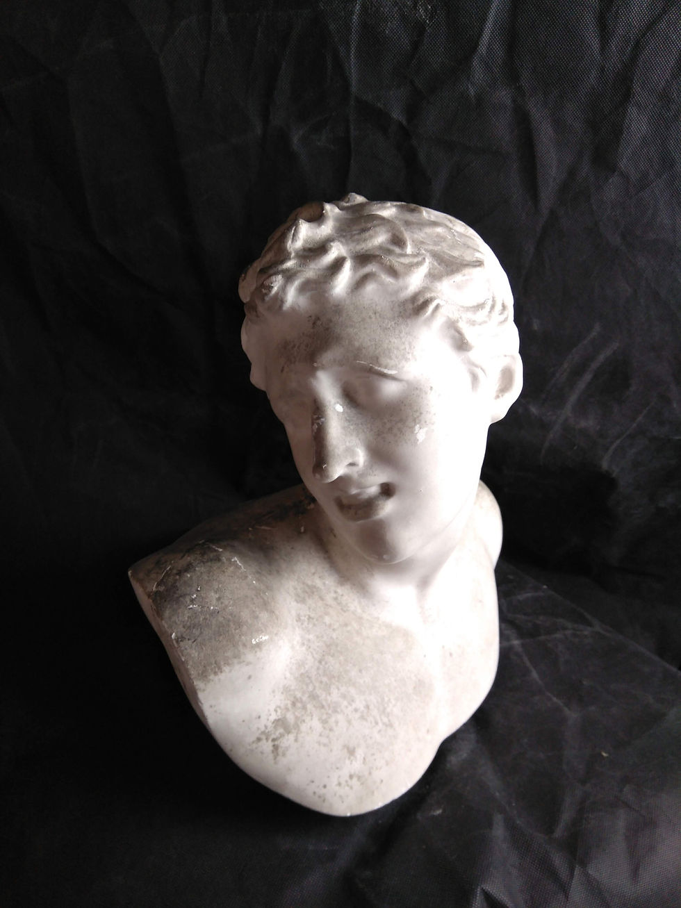 Thumbnail: Laocoon Fils - Musée du Vatican
