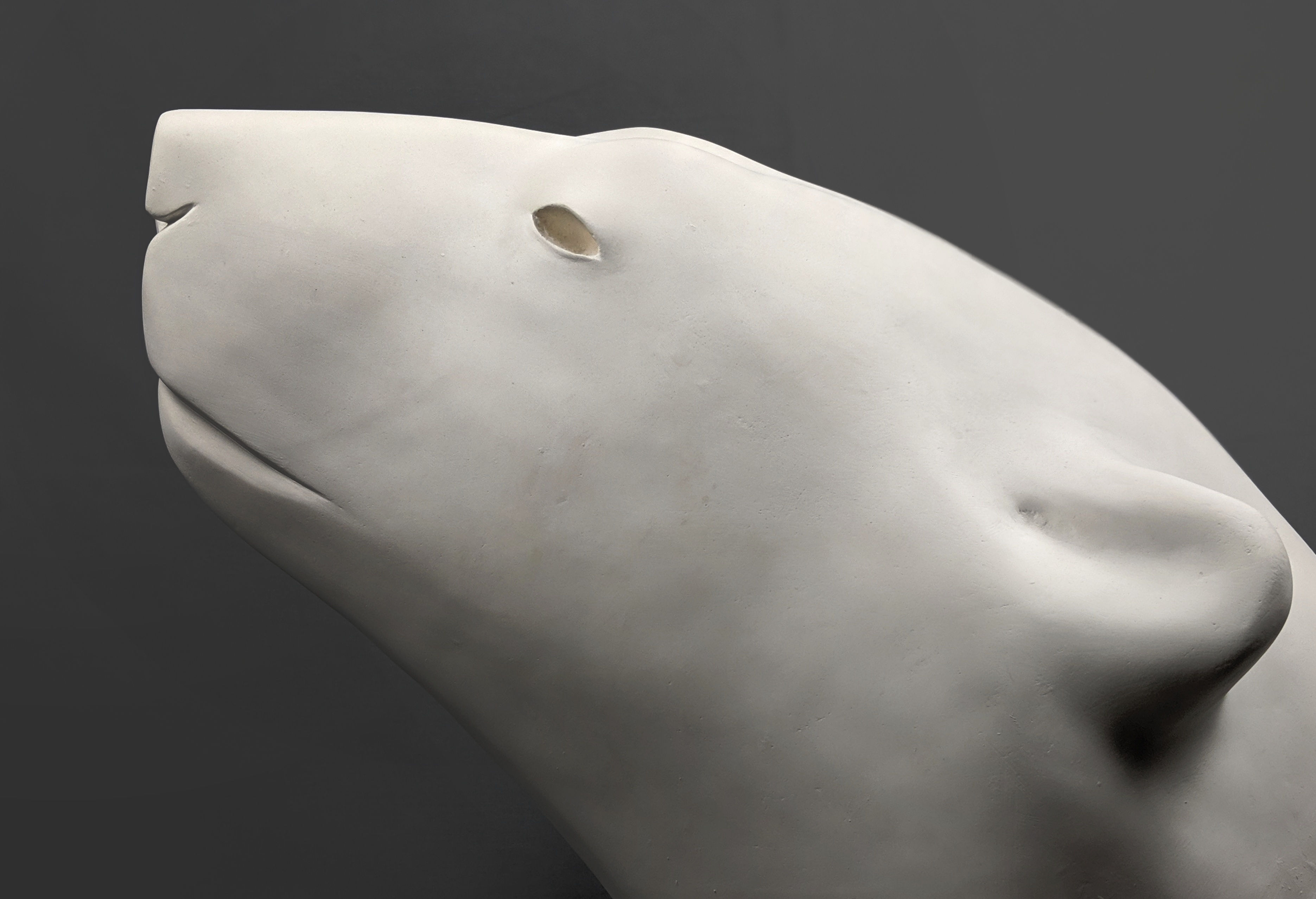 Tête Ours blanc | Pompon