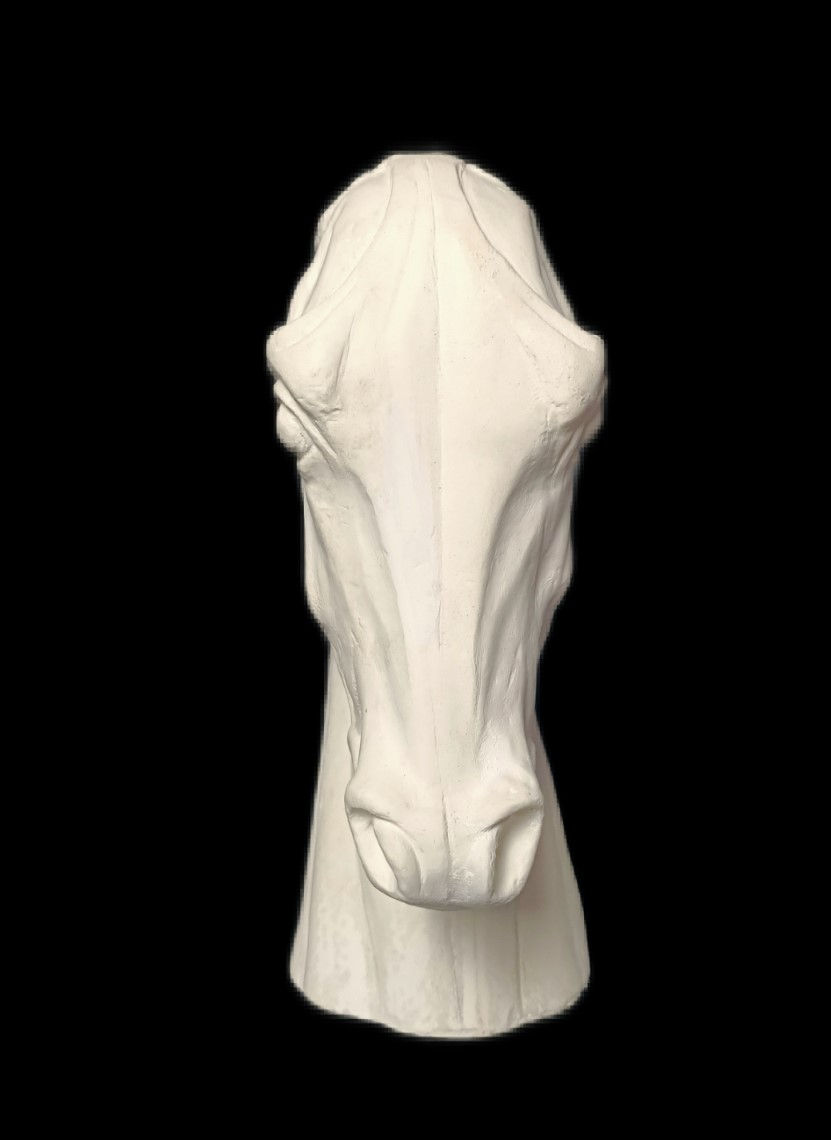 Miniature : Tête de cheval écorché