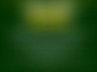 2025 Cross Country/Conditioning