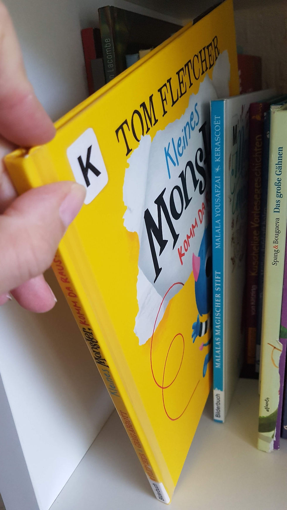 Buchcover Kleines Monster komm da raus.