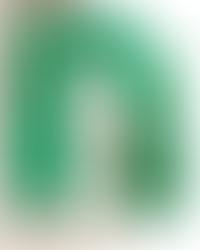 Vibrant & flattering — this vivid green wrap-style dress cinches at the waist and gently flares out.