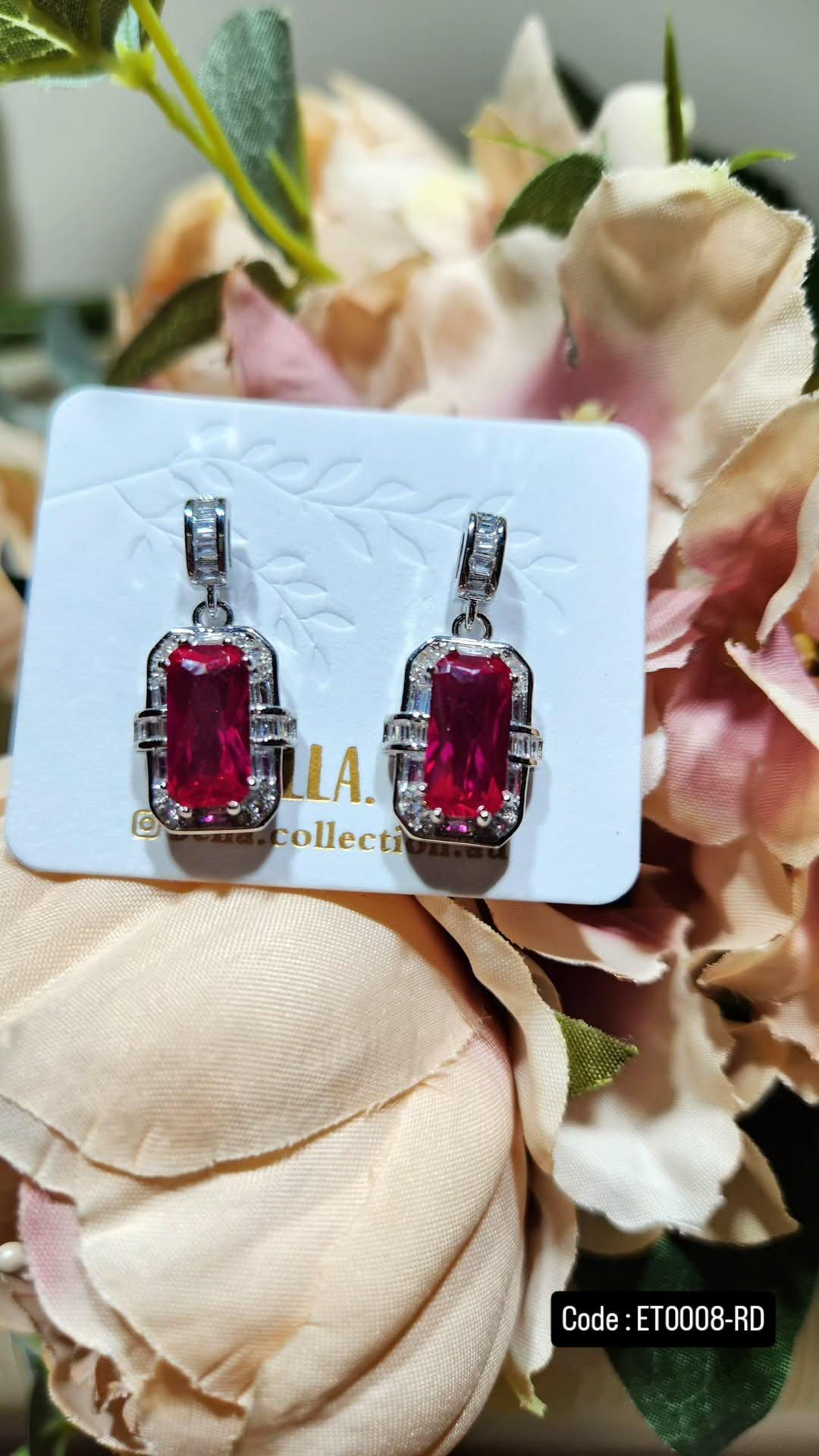 Titanium Earrings ET0008-RD