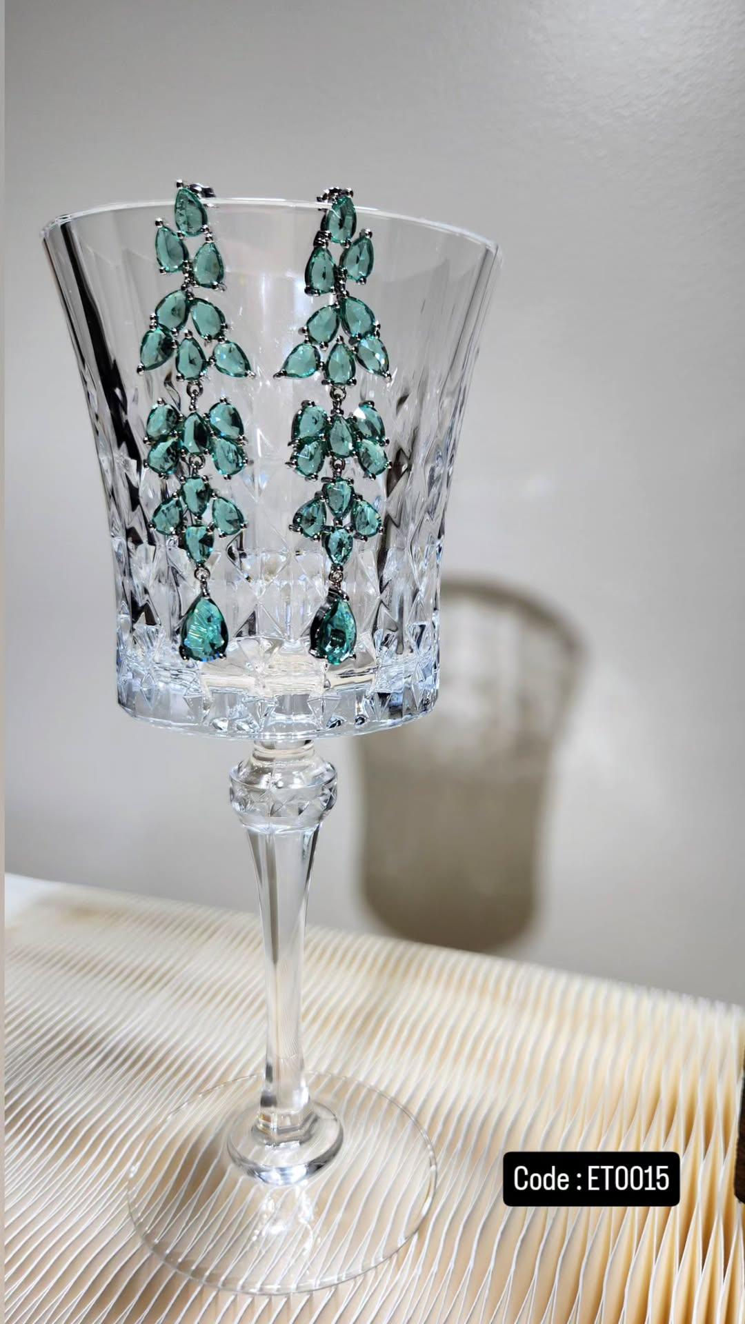 Titanium Earrings ET0015