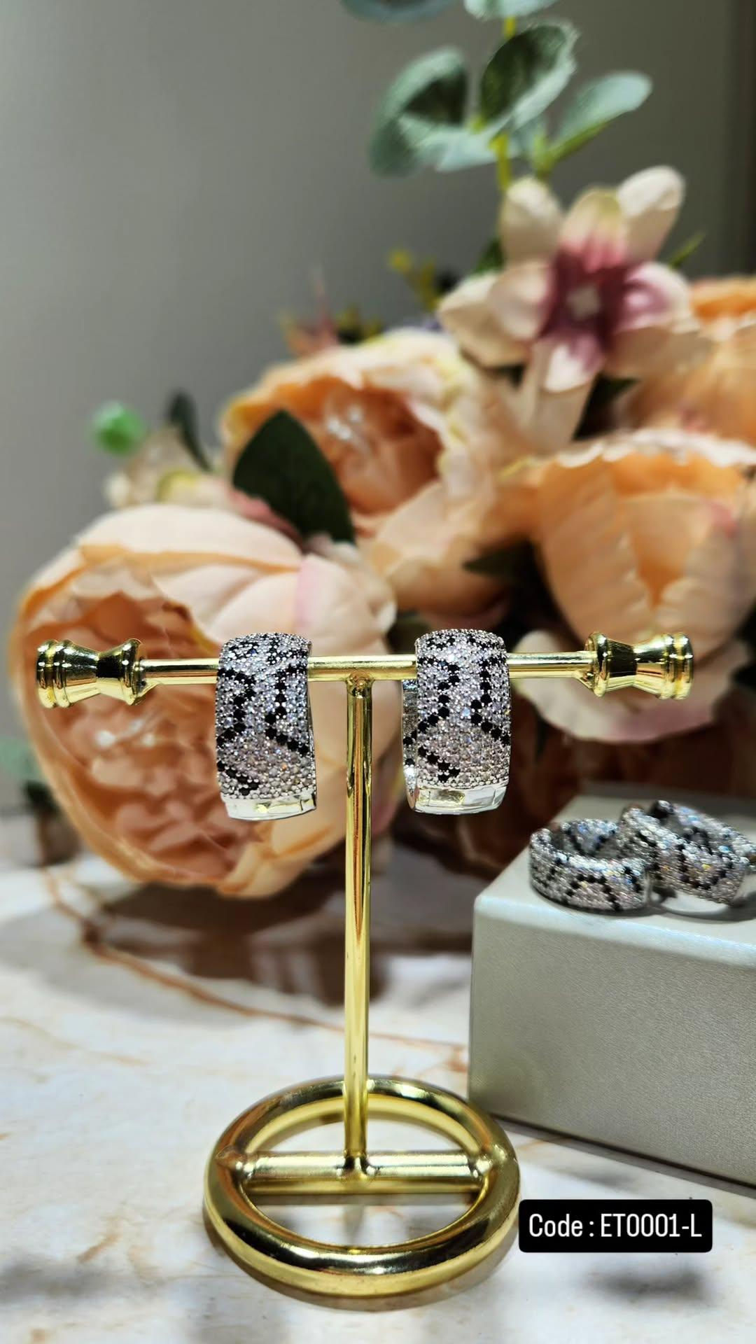 Titanium Earrings ET0001-L