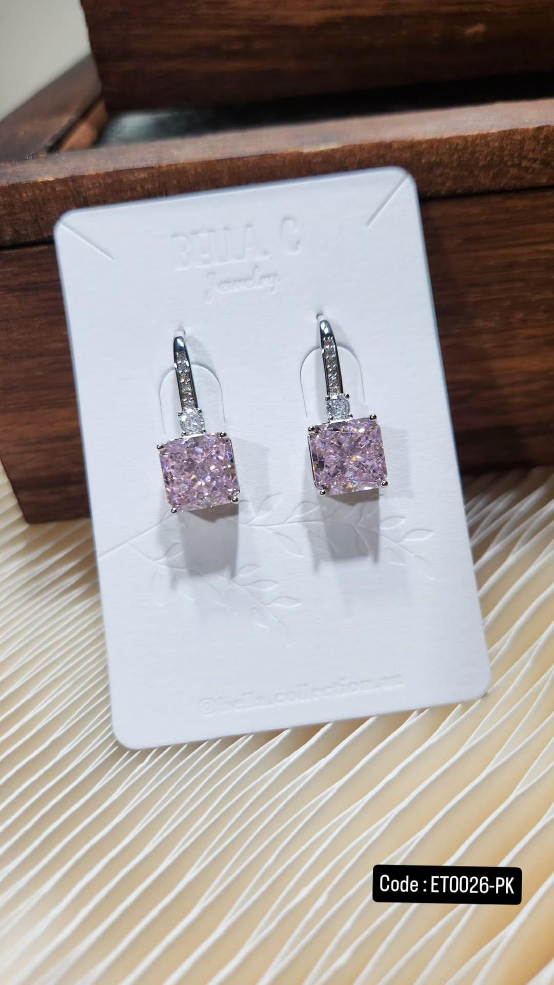 Titanium Earrings ET0026-PK