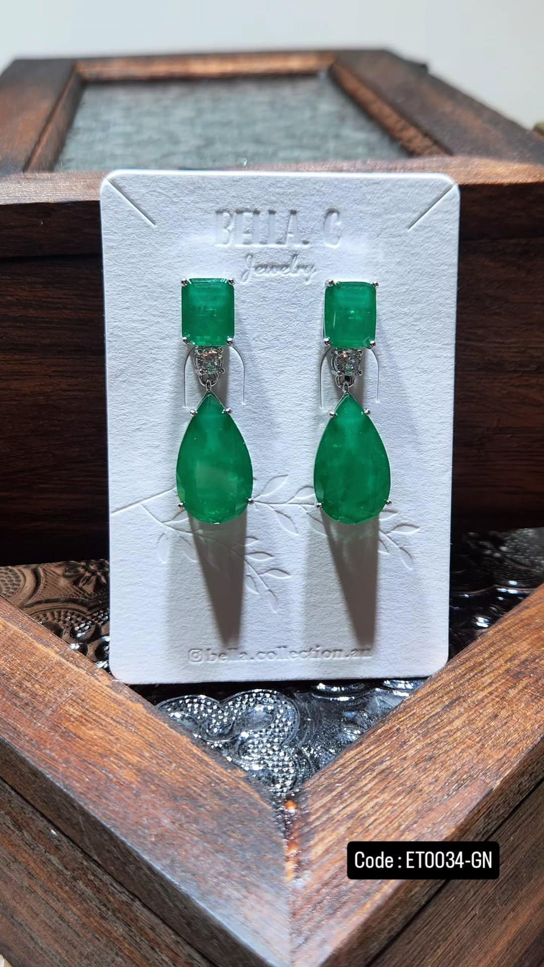 Titanium Earrings ET0034-GN