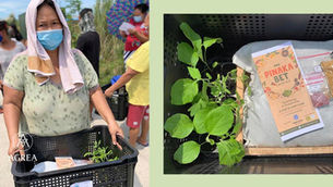 200 CAVITE FAMILIES CULTIVATE VEGETABLES WITH GROW-AT-HOME KITS