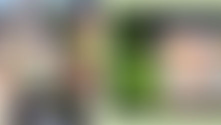 200 CAVITE FAMILIES CULTIVATE VEGETABLES WITH GROW-AT-HOME KITS