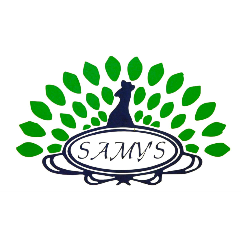 Samy's Curry