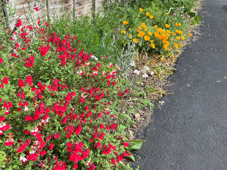 COMMUNAL GARDENING