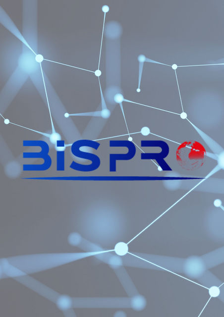 BIS PRO