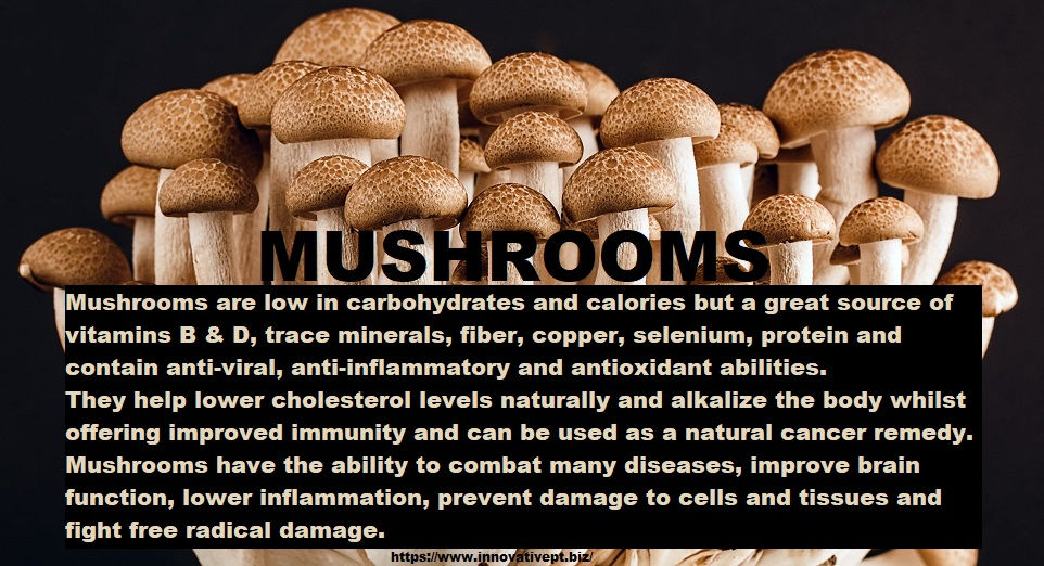 Mushroom Facts...