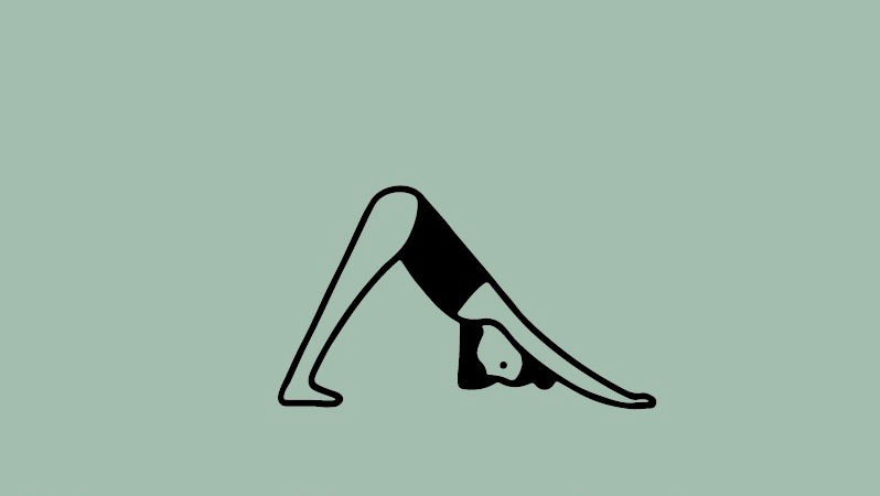 Introductory course - the basics of yoga