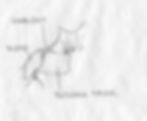 deltoid, trapezius, and pectoralis major muscles