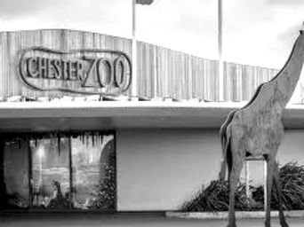 Chester zoo entrance