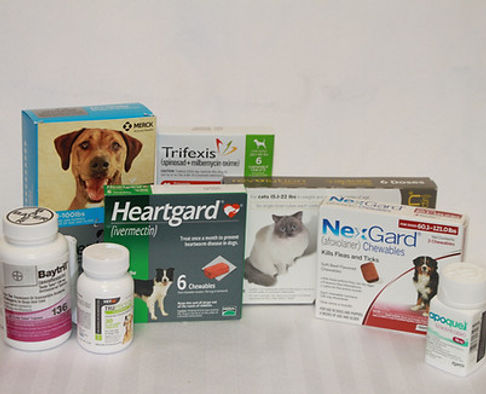 Pet rx_JPG.jpeg