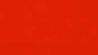 Stories of Surviving