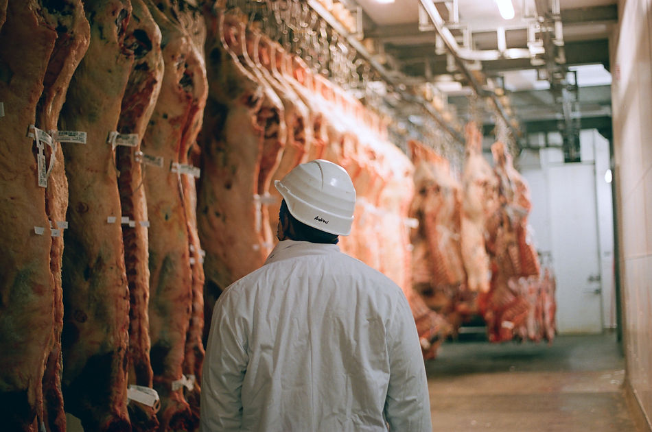 MacDuff (Angus D. Birditt, Our Isles) 2.