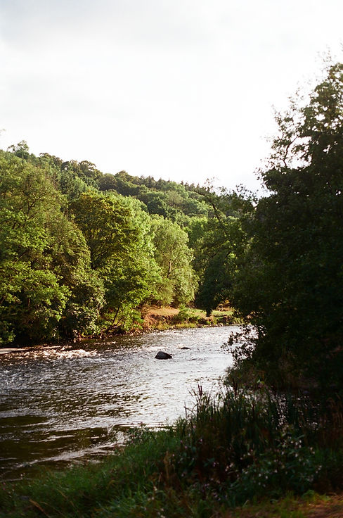 River cooking 2.jpg
