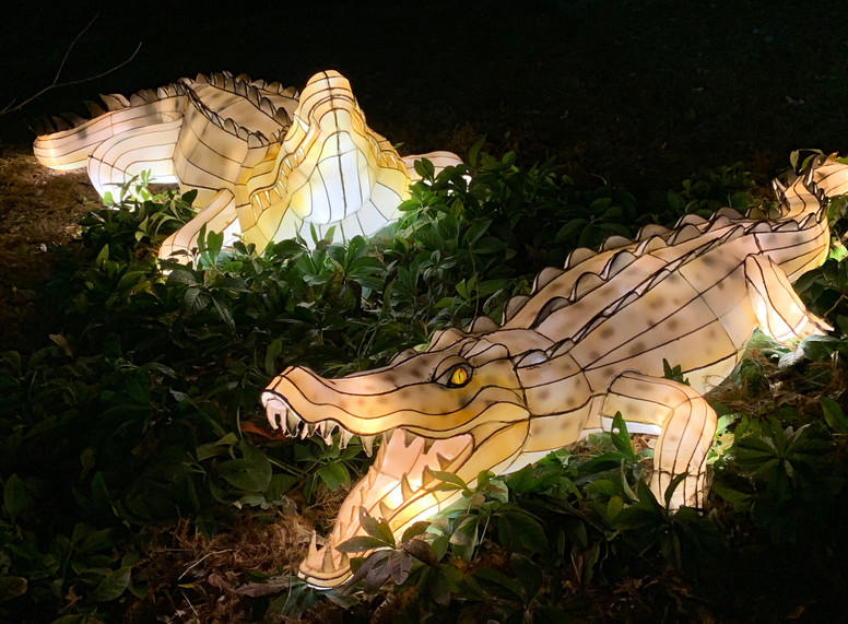 Take a walk at the Chinese Lantern Festival