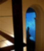 Custodios del Alma de Chile, Pontificia Universidad Católica de Chile