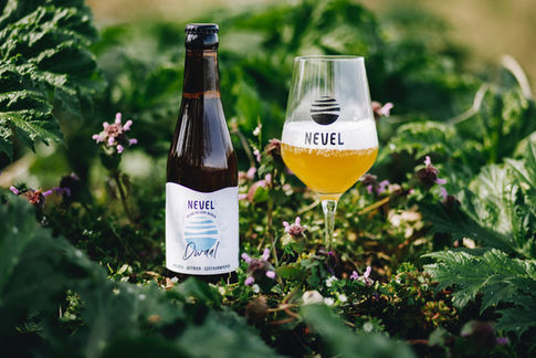 Minne Weide Dwaal-55 (2).jpeg