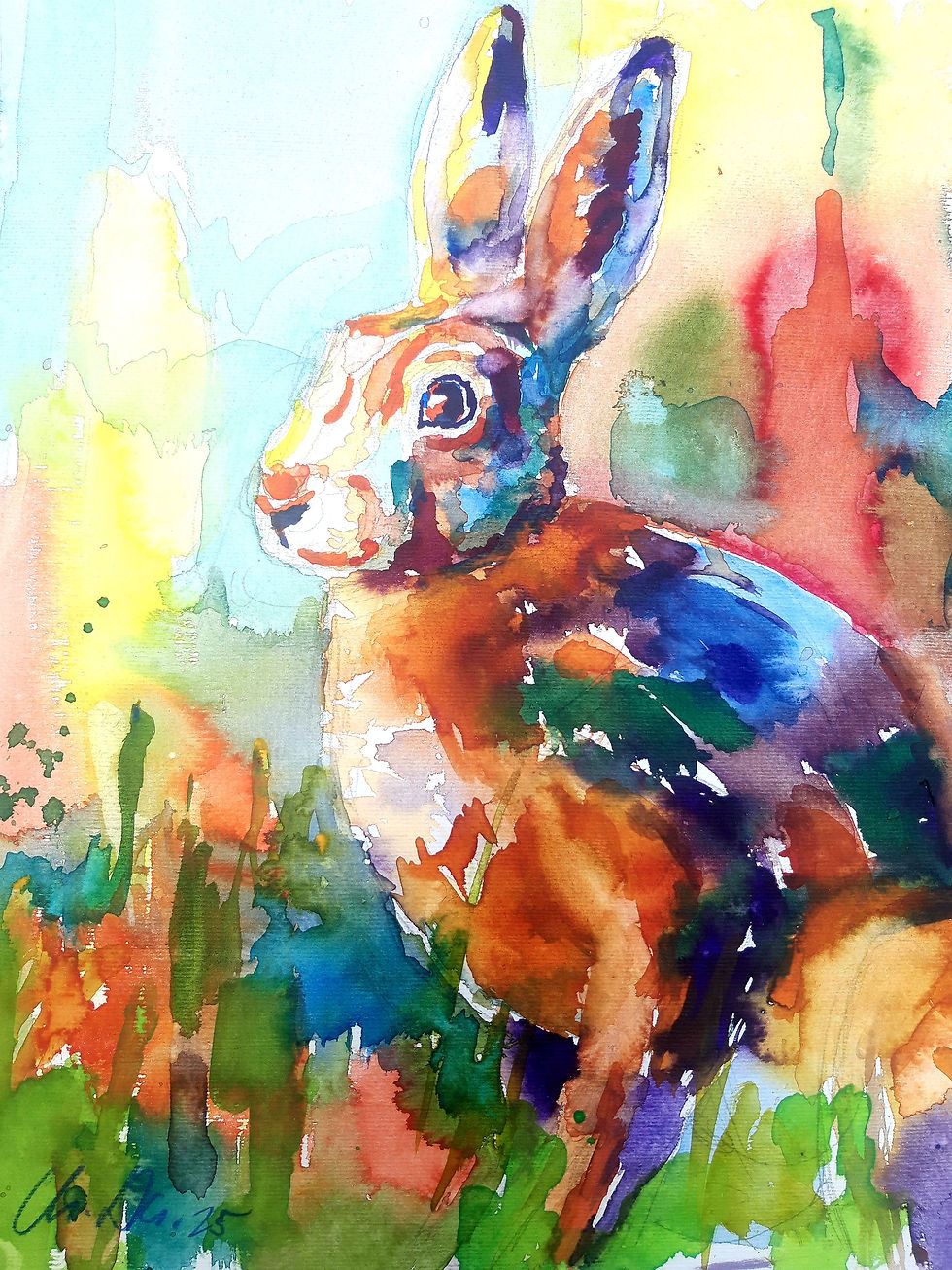 Hase 2