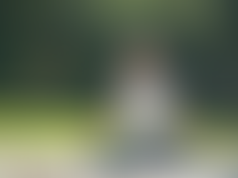 Why Ignoring Yoga Can Damage Your Health – Transform Your Life with Siddhi Wellness Care