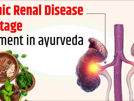 Ayurvedic Management of Chronic Kidney Disease: Insights from a Case Study