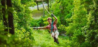 Zipline.jpeg