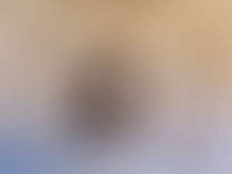 Ingram Ladies Garden Club