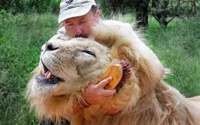 Managing the Zoo