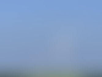 Wind Farms and Agriculture in Central Illinois: What We See and What We Do Not