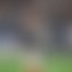 The Bengals' Crunch-Time Struggles: Can Joe and Ja’Marr Carry This Team to the Playoffs?