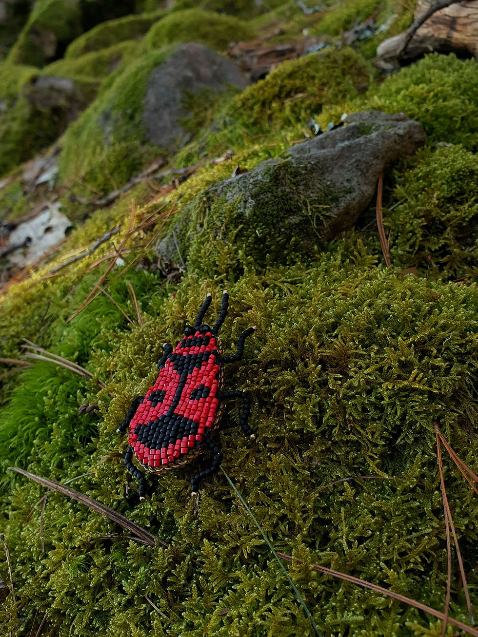 Miniaturbild: Bodobacs Beetle - brooch