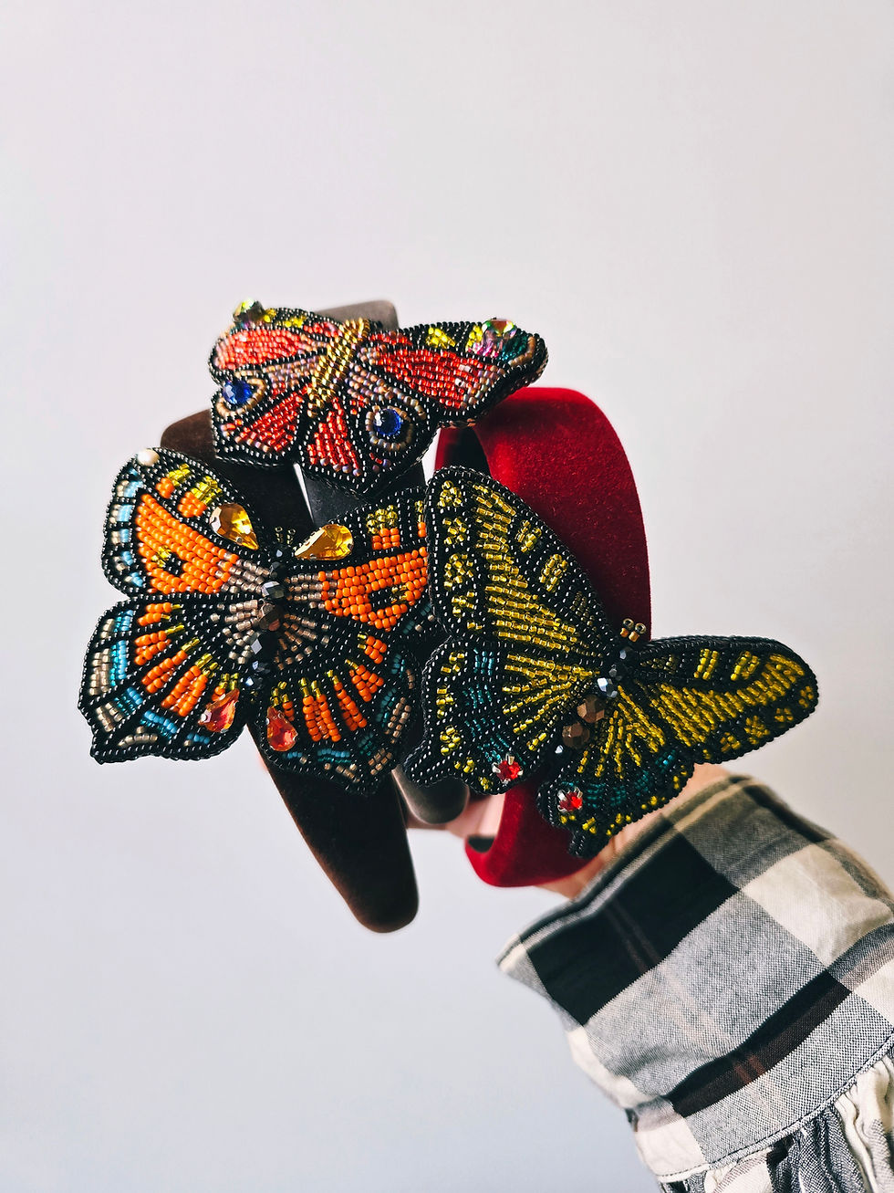 Indexkép: Papilio machaon - hairband