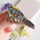 Thumbnail: Goldcrest - brooch