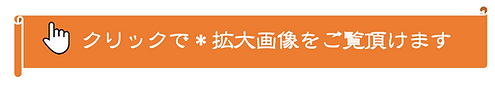 拡大画像３.png