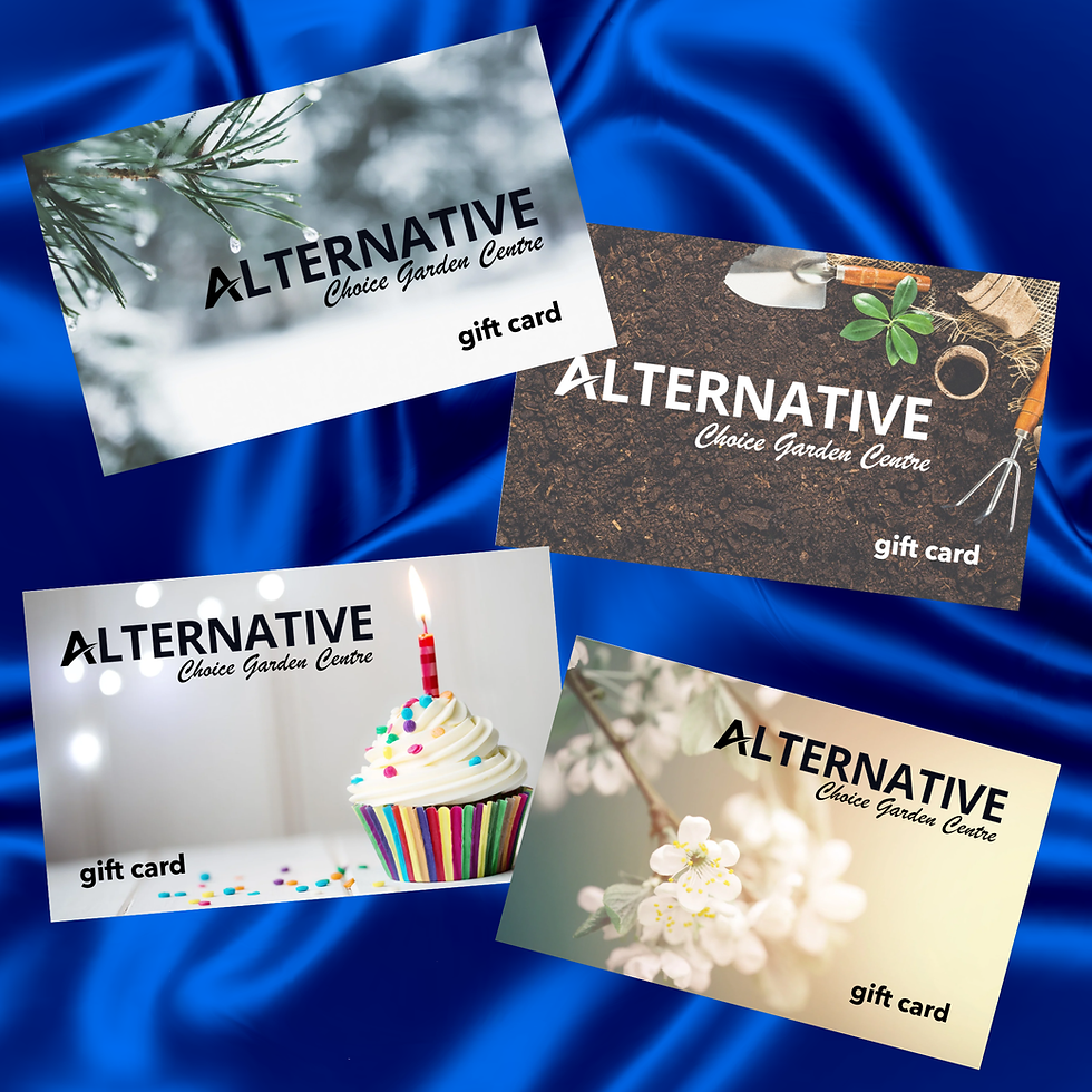 Thumbnail: Gift Cards