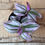 Thumbnail: Nanouk Tradescantia, 4" Pot