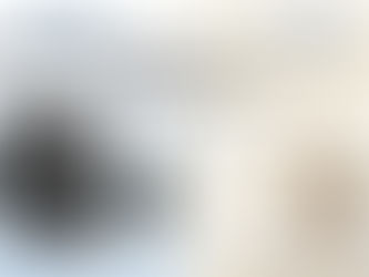 Functional Bags vs Regular Bags: What Makes Them More Valuable for Retailers