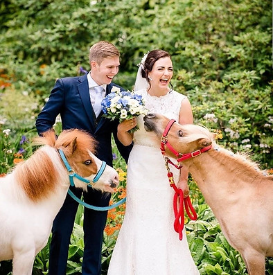Stan and Bandit wedding.jpeg