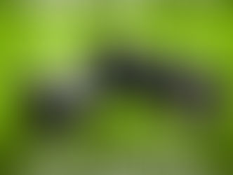 Zayendo a fait un tres beau retour au petit bal de mai