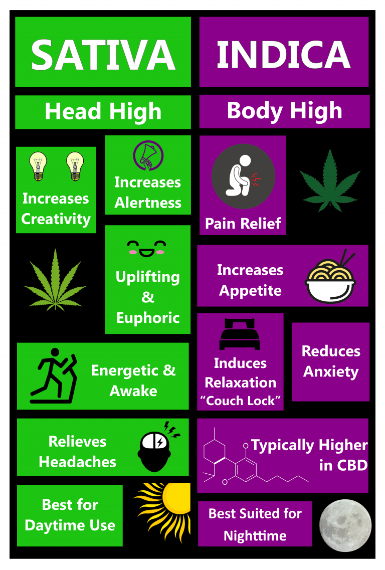 Cannabis Education