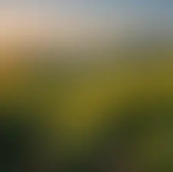 Unveiling the Best SEO Services Provider Company: A Closer Look into Their Impact