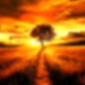 final_harmonized_image2_new.png